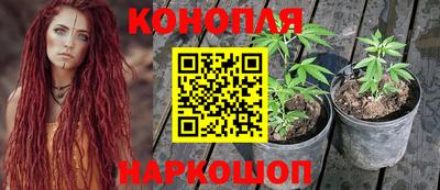 индика Азнакаево