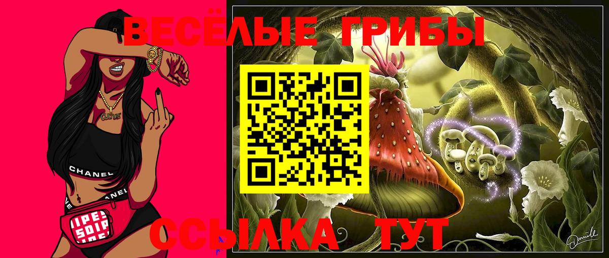 Мефедрон   Alpha PVP СК кристаллы  ГАШИШ  Лсд 25  Амфетамин кристаллы  Гашиш  Абакан  Вход с VPN 