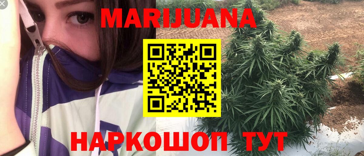 Шишки марихуана OG Kush  Канабис семена  Абакан  Вход с VPN  Конопля семена 